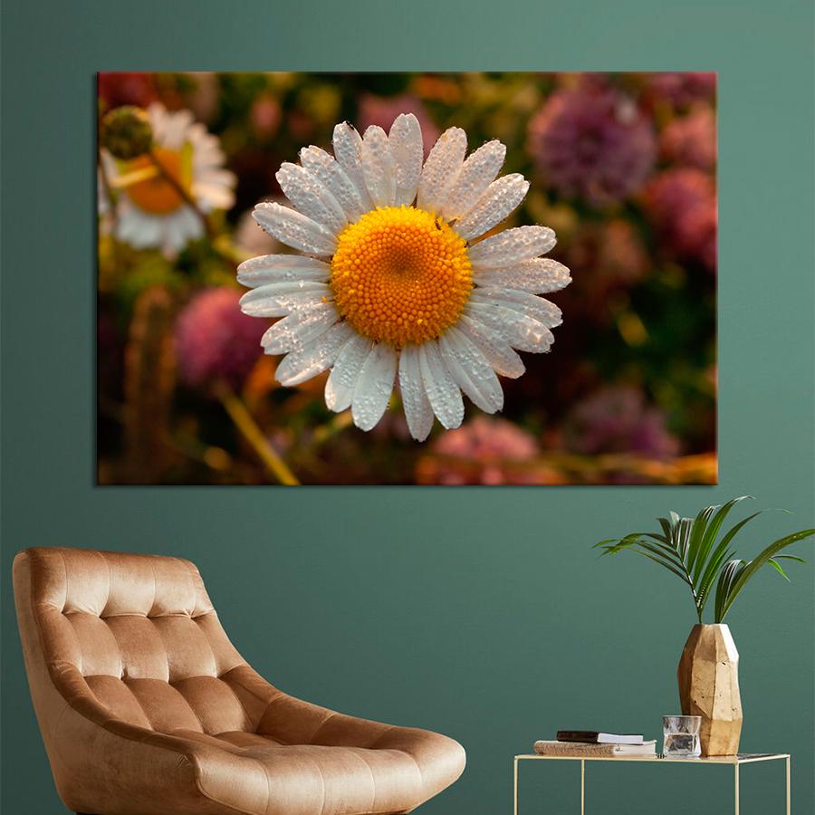 Картина цветы и растения Большая ромашка 80x54 см (A1038-1)