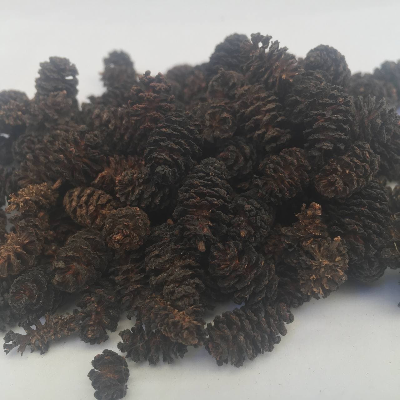 Вільха чорна Карпати 50 г (61aa043c0c9bb064437ddc92)