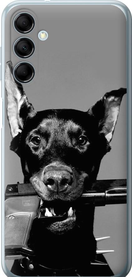 Чехол на Samsung Galaxy M14 M146B Доберман (2745u-3038-42517)