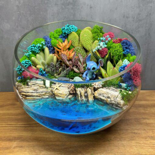 Флорариум Стич в тропиках с суккулентами и водоемом 25 см