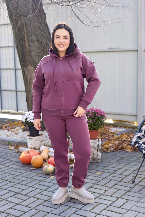 Спортивный костюм женский AKSAN зимний байковый двойка XL Фиолетовый (25.2071_violet_48(XL)) Спортивный костюм женский AKSAN зимний байковый двойка XL Фиолетовый (25.2071_violet_48(XL))