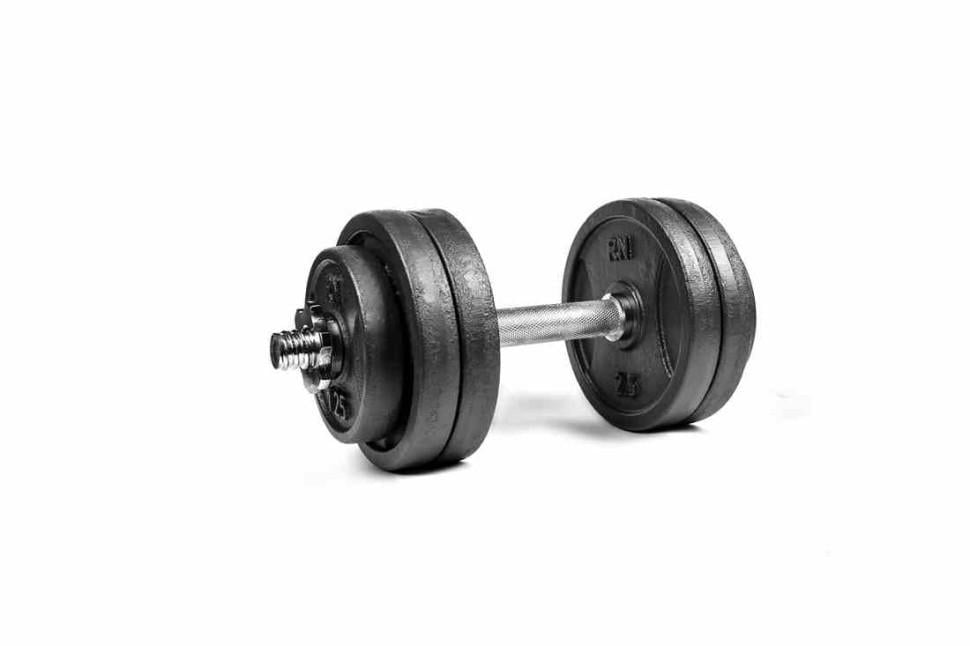 Гантель разборный металлический RN-Sport 13,5 кг (RN_QTR13) - фото 1