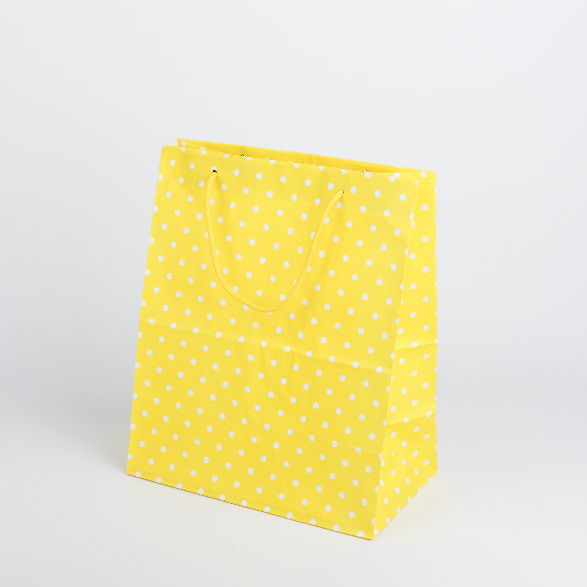 Пакет с принтом горошек Люкс с ручками веревками 20 шт. 260х150х320 мм - фото 1 Пакет с принтом горошек Люкс с ручками веревками 20 шт. 260х150х320 мм - фото 1