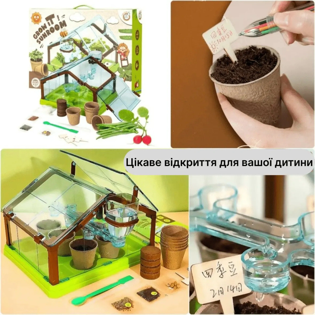 Детский садоводческий набор с мини-теплицей для роста растений (29075264) - фото 3 Детский садоводческий набор с мини-теплицей для роста растений (29075264) - фото 3
