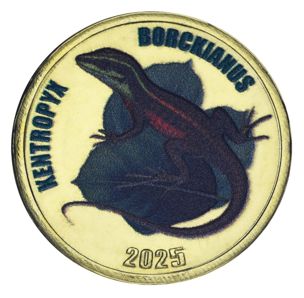 Коллекционная монета Остров Чилоэ 2 фунта 2025 UNC Чили Рептилия-Ящерица-Килеватая тейида Петерса (М22537)