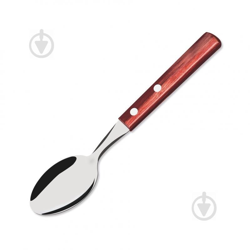 Набор чайных ложек TRAMONTINA POLYWOOD, 6 предметов (6368564)