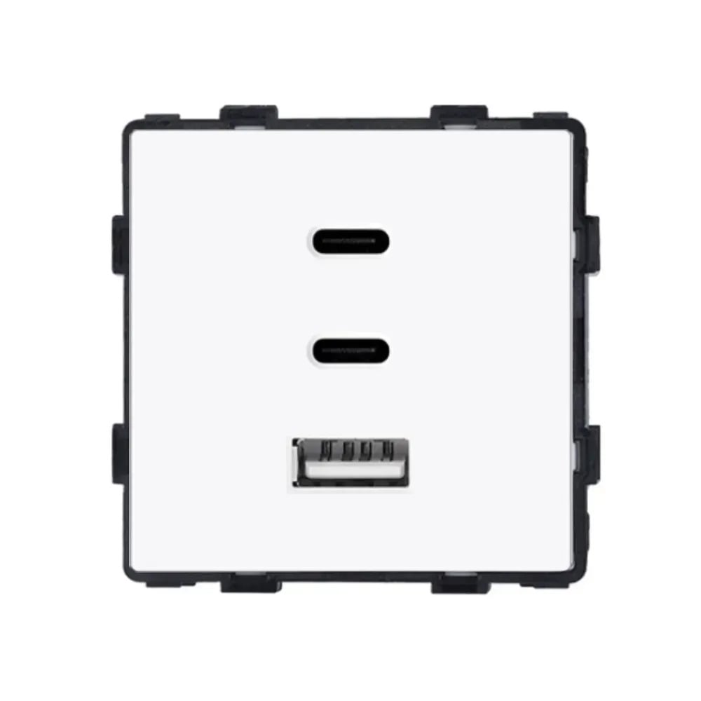 Розетка настінна LUXION USB Type-C 65Вт дизайнерська скляна рамка Білий (LX-86-65W-WT)