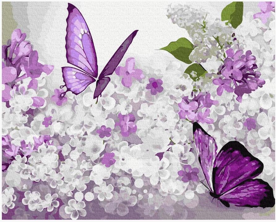 Картина по номерам Метелики (GX37228)