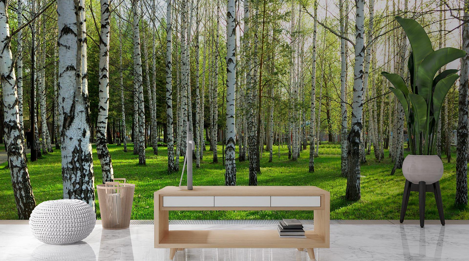 Фотообои флизелиновые Styleo Print-walls Березы 0256 400х250 см (Pw-0256/4)