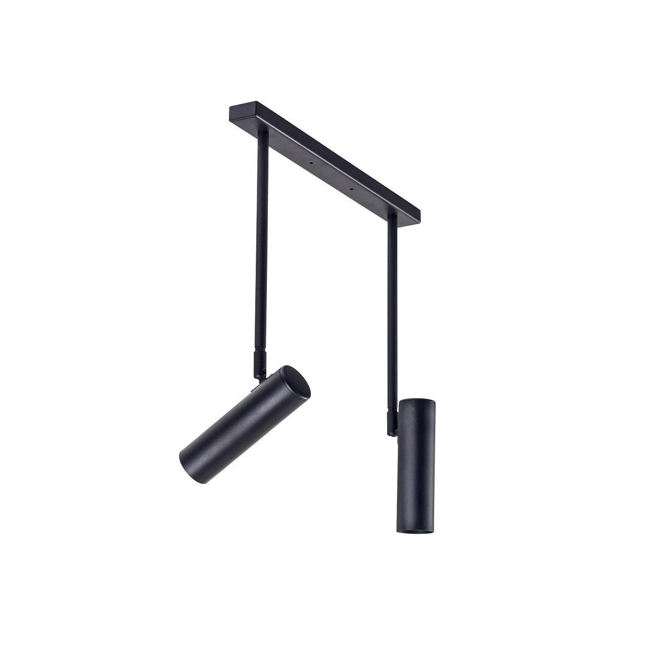 Світильник стельовий Pelikan С180-2 2хЕ27 Black (1021211)