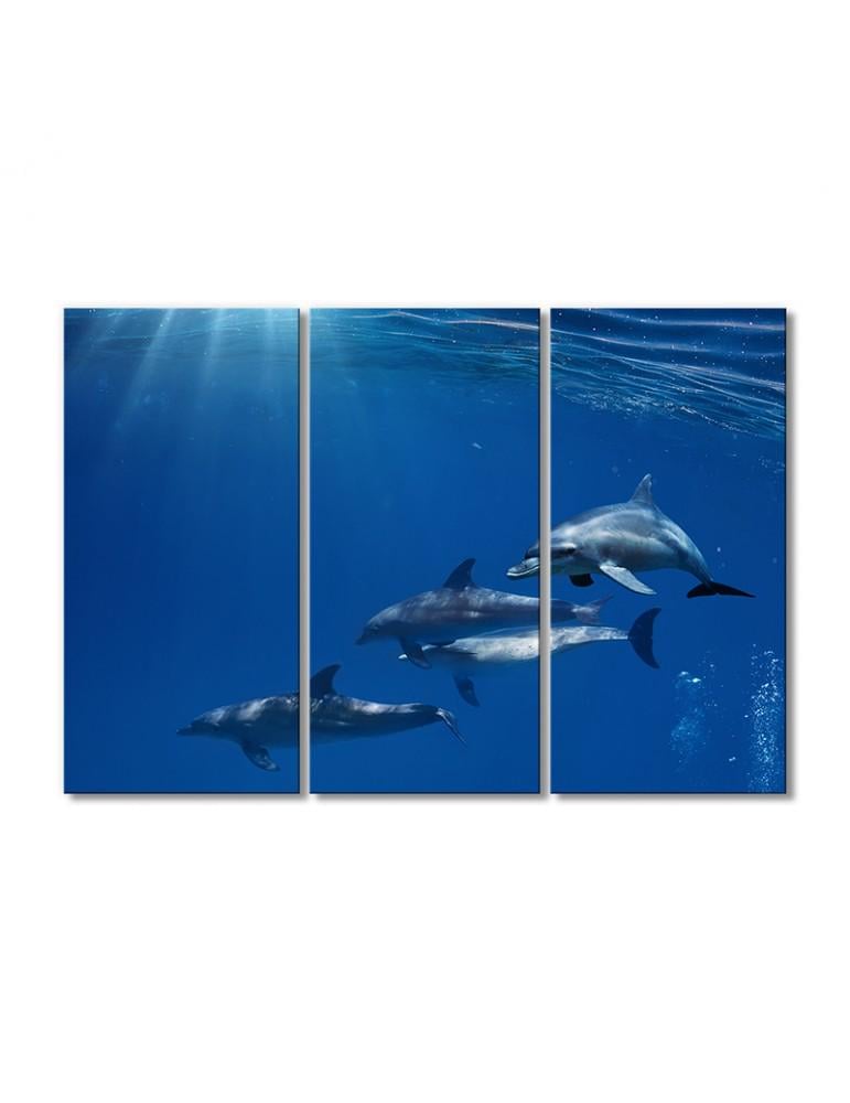 Картина модульная Семейство дельфинов 3 модуля 50x75 см