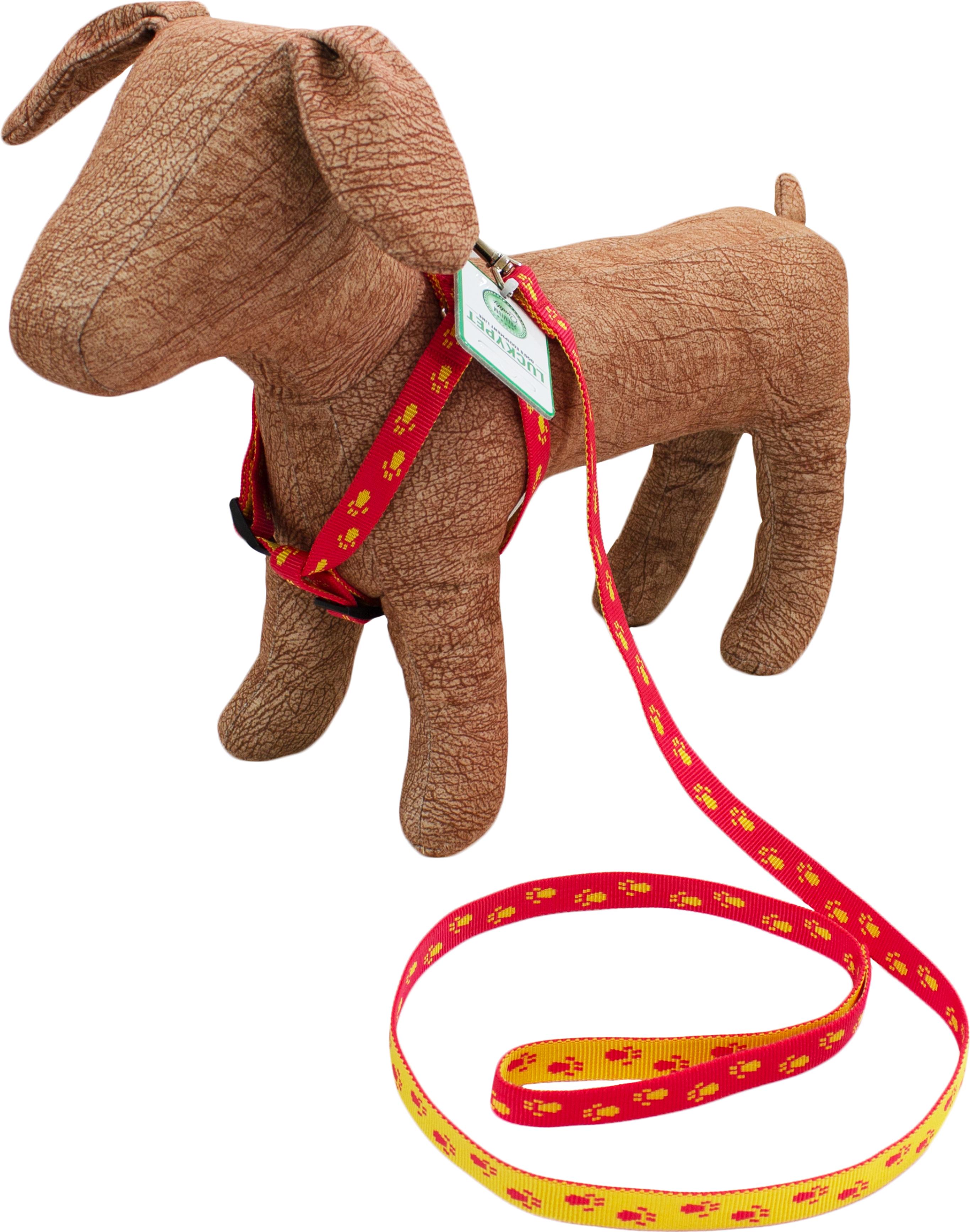 Комплект капроновый Lucky Pet Лапки 1,6/28-39/31-48 см Красный/Желтый (4820224219493)