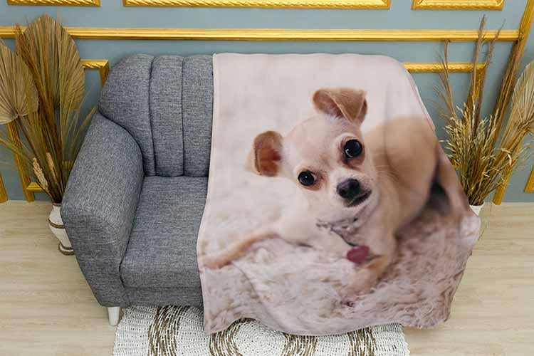 Плед Chihuahua on a white carpet плюш однослойный 150х210 см (113462-1)