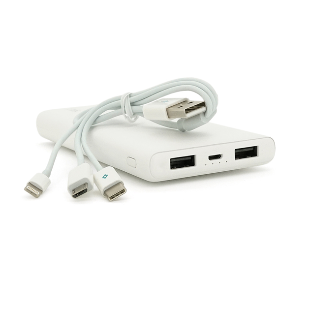 Повербанк Ttec 10000 mAh 2USB microUSB 20W для смартфонов белый (29700) - фото 2