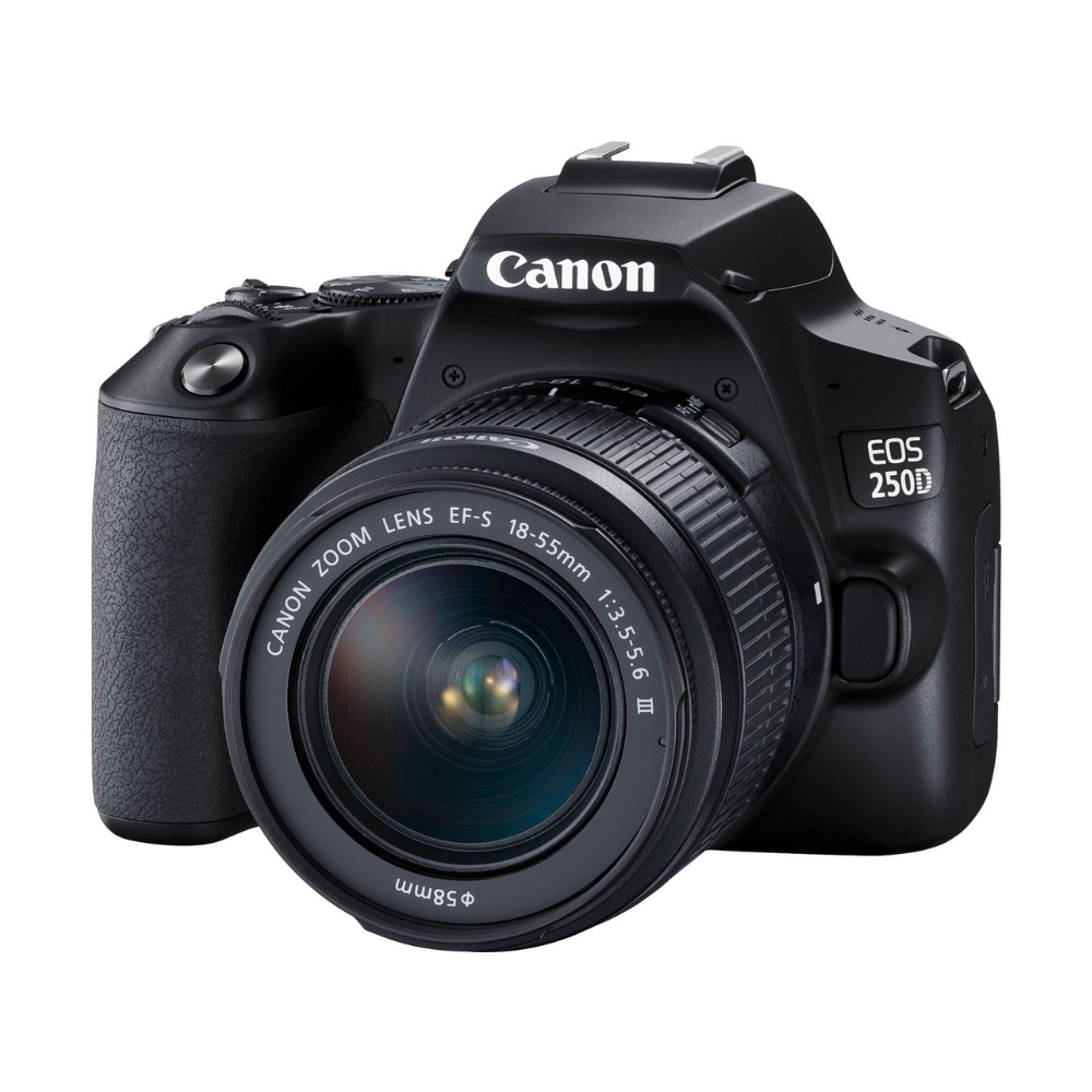 Фотоапарат цифровий Canon EOS 250D 18-55 DC III CMOS 22,3x14,9 мм (3454C009 AA)