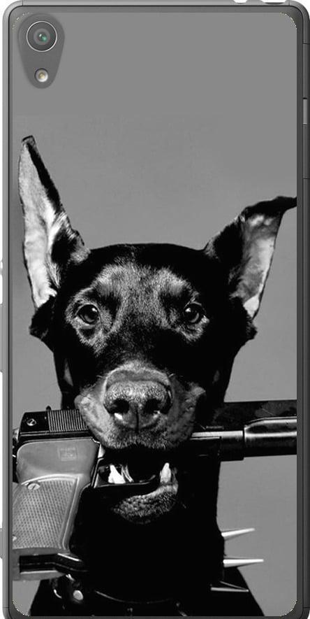 Чехол на Sony Xperia XA F3112 Доберман (2745u-399-42517)