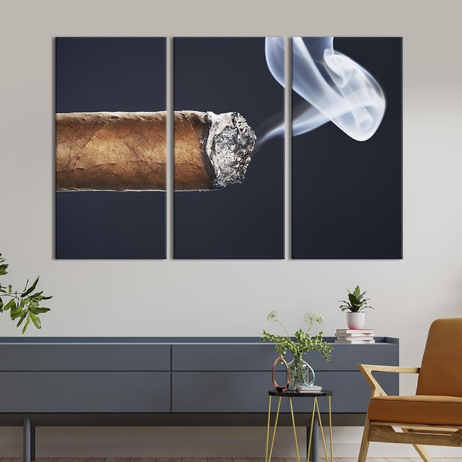 Модульная картина триптих Кубинская сигара 156x100 см (301-31)