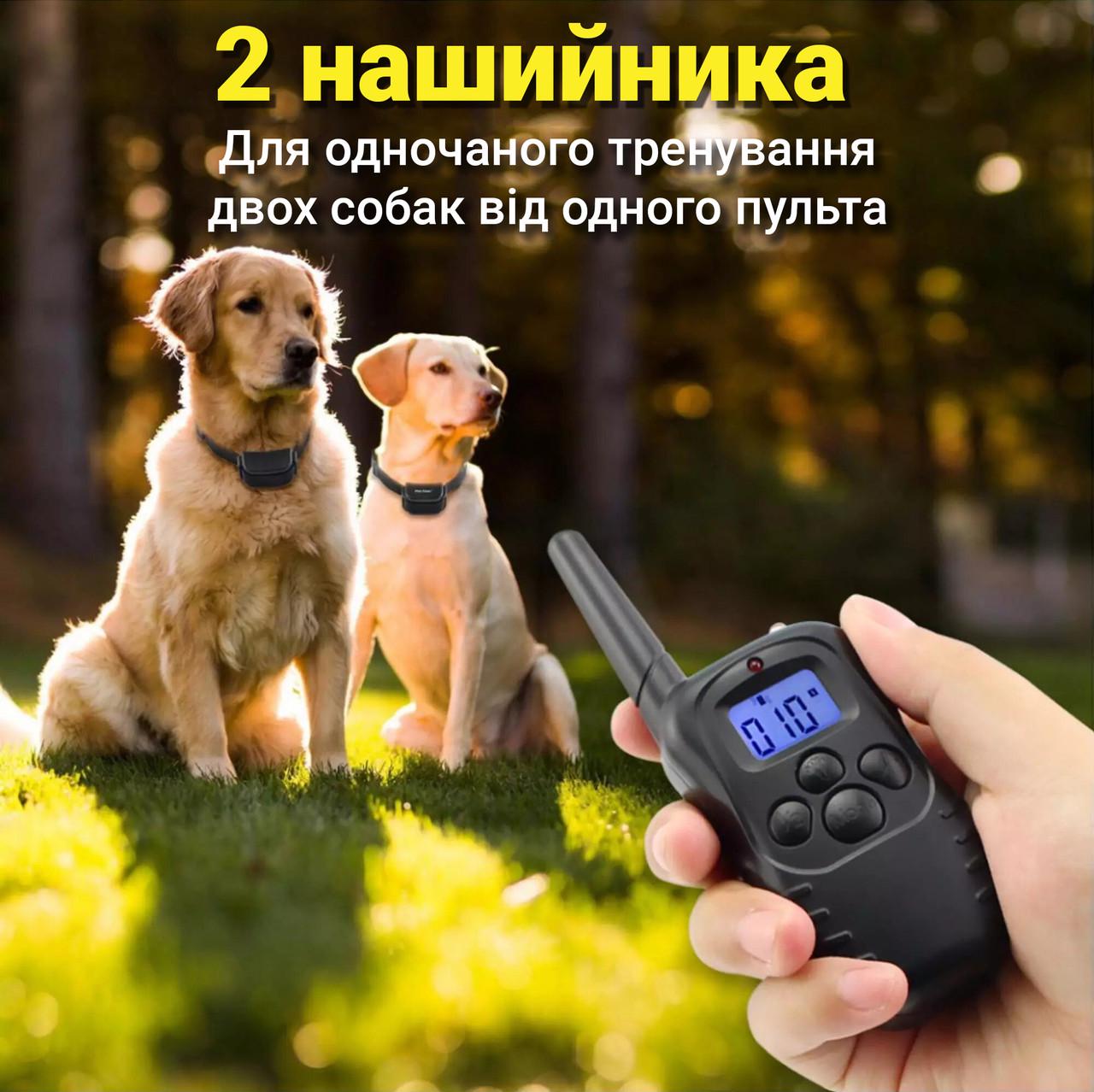 Ошийник електронний Petrainer PET998DR для дресування собак з 2-ма нашийниками перезаряджуваний - фото 10