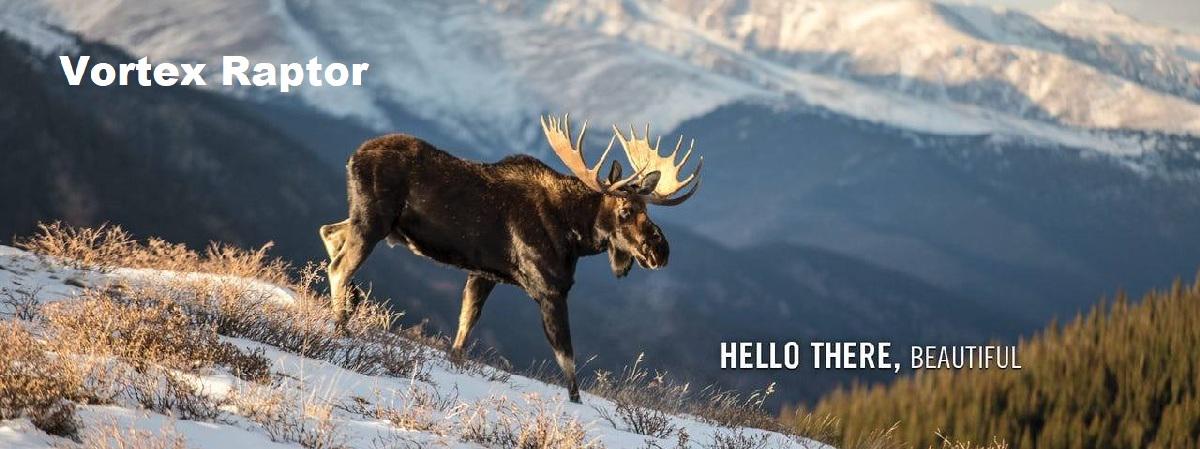 Бинокль Vortex Raptor 8,5x32 WP - фото 3