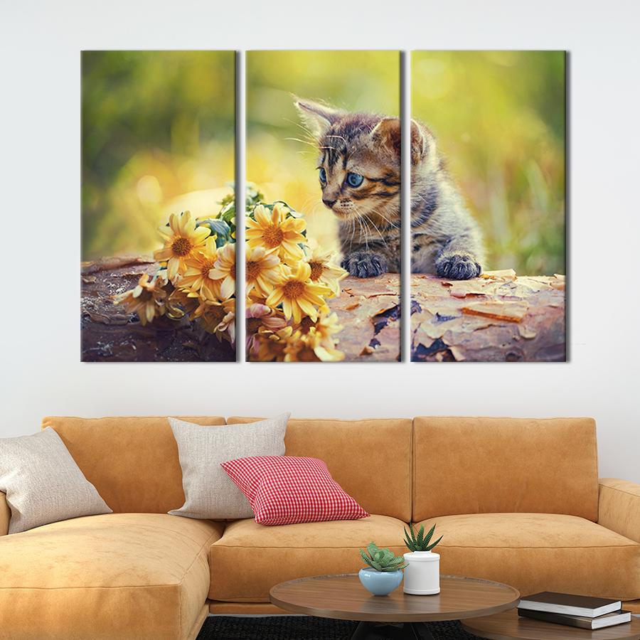Модульная картина на холсте Триптих Шаловливый котёнок 156x100 см (152-31)