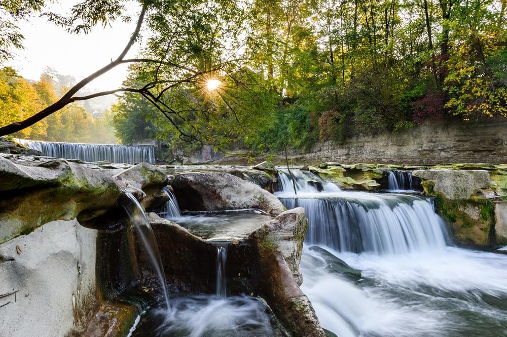 Картина Природа PR266 55х85 см