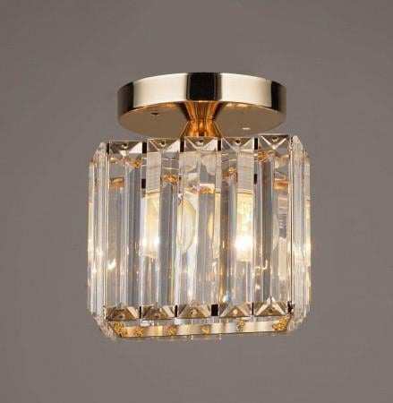 Потолочная люстра Свет SR-N3896/1H FG золотистая