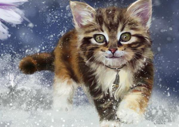 Картина по номерам Josef Otten Животные Котенок 40х50 см в термопакете (3361RA_O-mt)