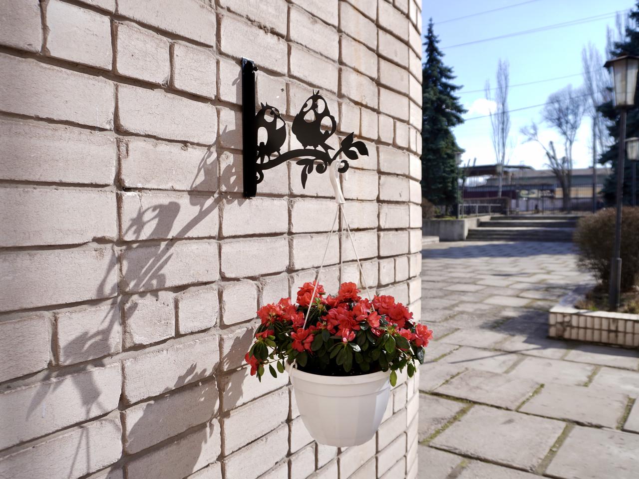 Кронштейн Смешные птички для кашпо с цветами метал Черный (М021) - фото 7 Кронштейн Смешные птички для кашпо с цветами метал Черный (М021) - фото 7