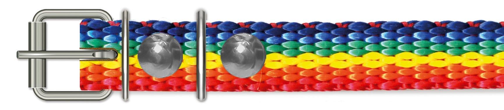 Ошейник нейлон 13 мм/35 см