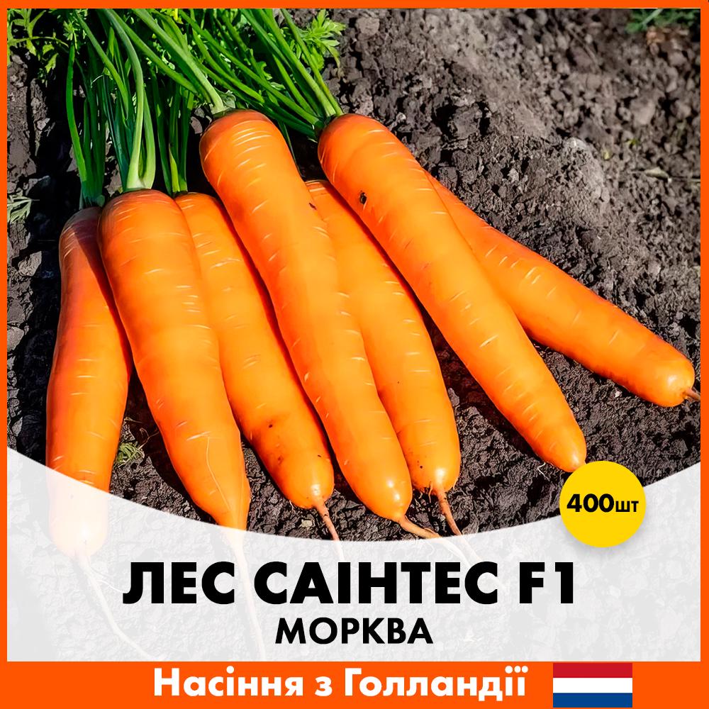 Семена моркови Seminis Лес Саинтес F1 400 шт. (R30124)
