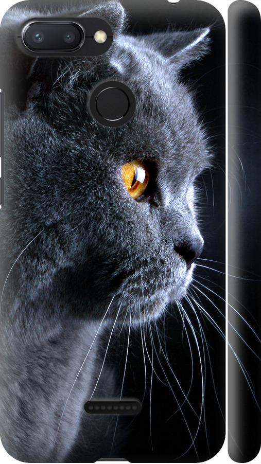 Чехол на Xiaomi Redmi 6 Красивый кот (3038m-1521-42517) Чехол на Xiaomi Redmi 6 Красивый кот (3038m-1521-42517)