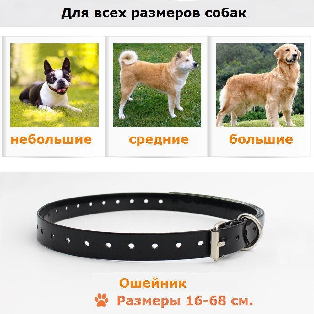 Электроошейник для дрессировки собак iPets PET619-1 Оранжевый - фото 5