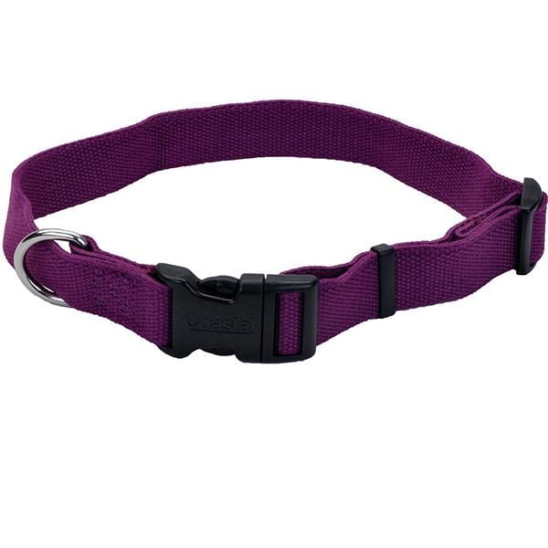 Эконашейщик для собак Coastal Earth Soy Dog Collar (14901_EGP26)