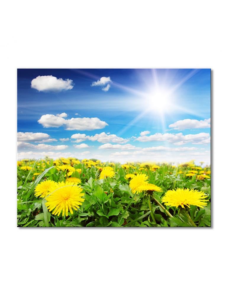 Картина модульная Поле желтых одуванчиков 1 модуль 40х60 см