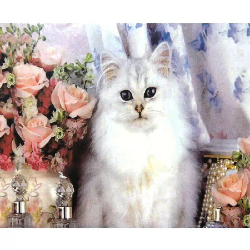 Алмазна вишивка Кішка та троянди повна викладка 5D 30х40 см (1794406566)