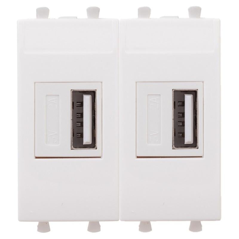 Розетка ДКС Avanti USB 2,1А 5В 2 модуля Белый (4400542)