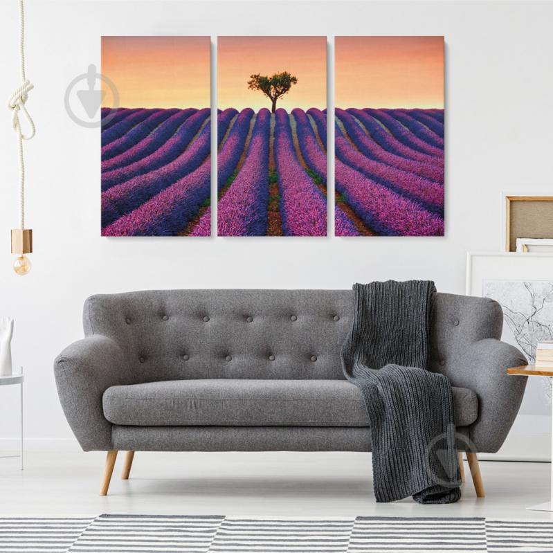 Модульная картина из трех частей Лавандовое поле Malevich Store 156x100 см (MK311623)