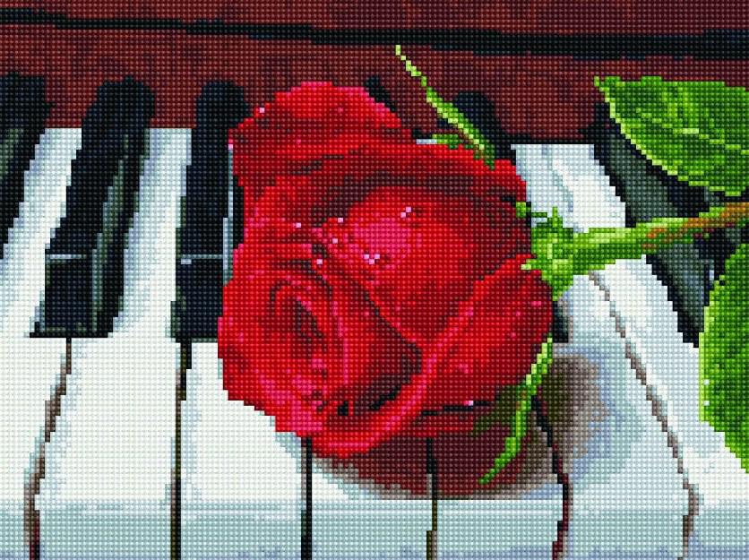 Алмазная мозаика Rainbow Art Роза на рояле 40х30 см (EJ929)