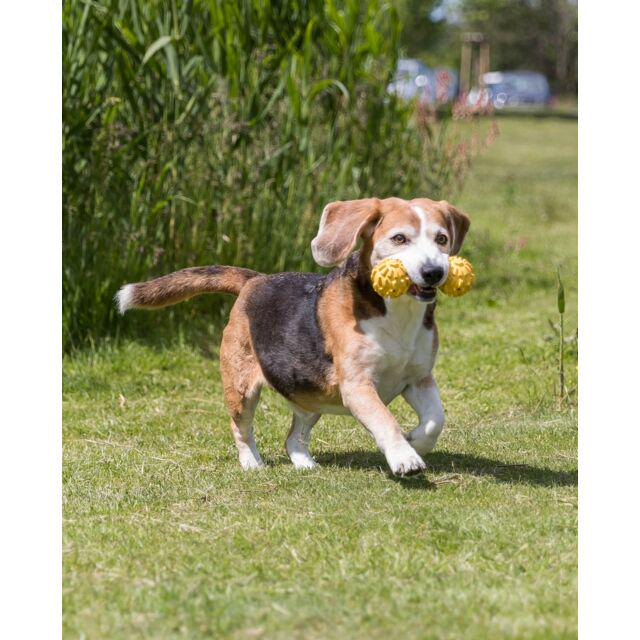 Игрушка Trixie гантель с колокольчиком для собак 12 см (TX-3335) - фото 4 Игрушка Trixie гантель с колокольчиком для собак 12 см (TX-3335) - фото 4