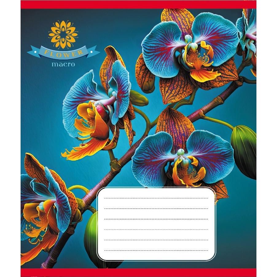 Шкільний зошит Орхідея 036-570137K-2 в клітинку 36 аркушів (RLT55333)