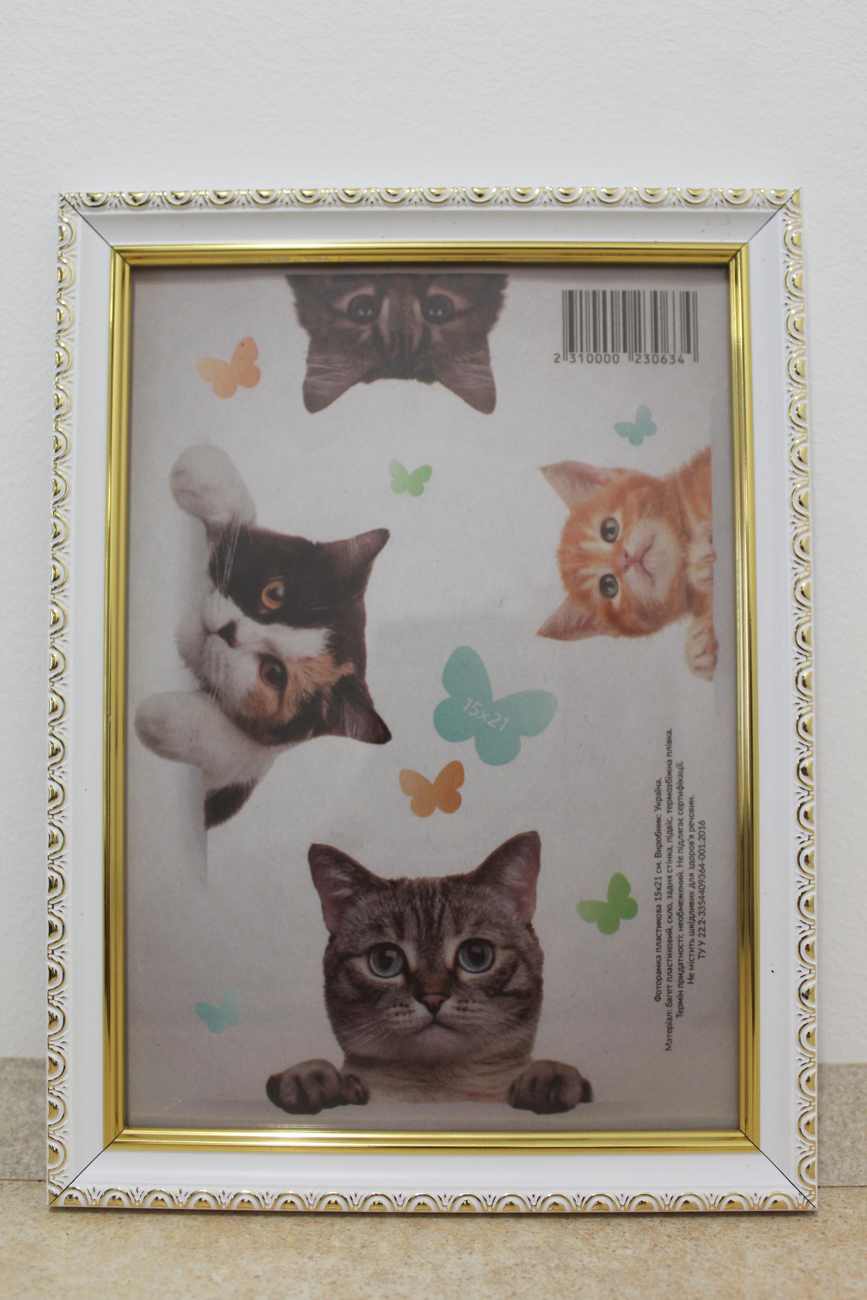 Фоторамка UAFRAME 1715-015-3 G скло/картон 15х21 см Білий із золотим обрамленням (19127616)