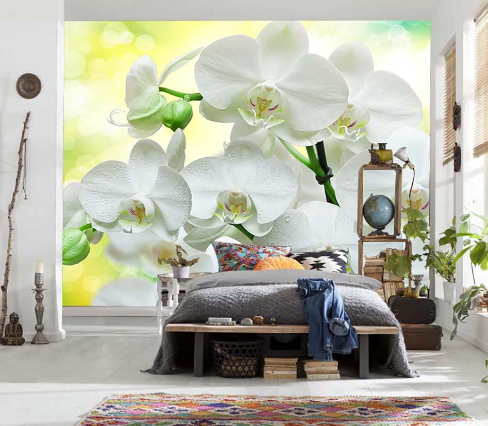 Фотообои рулонные Photodecor 3D виниловые на флизелиновой основе с белыми орхидеями 1 кв. м (107)