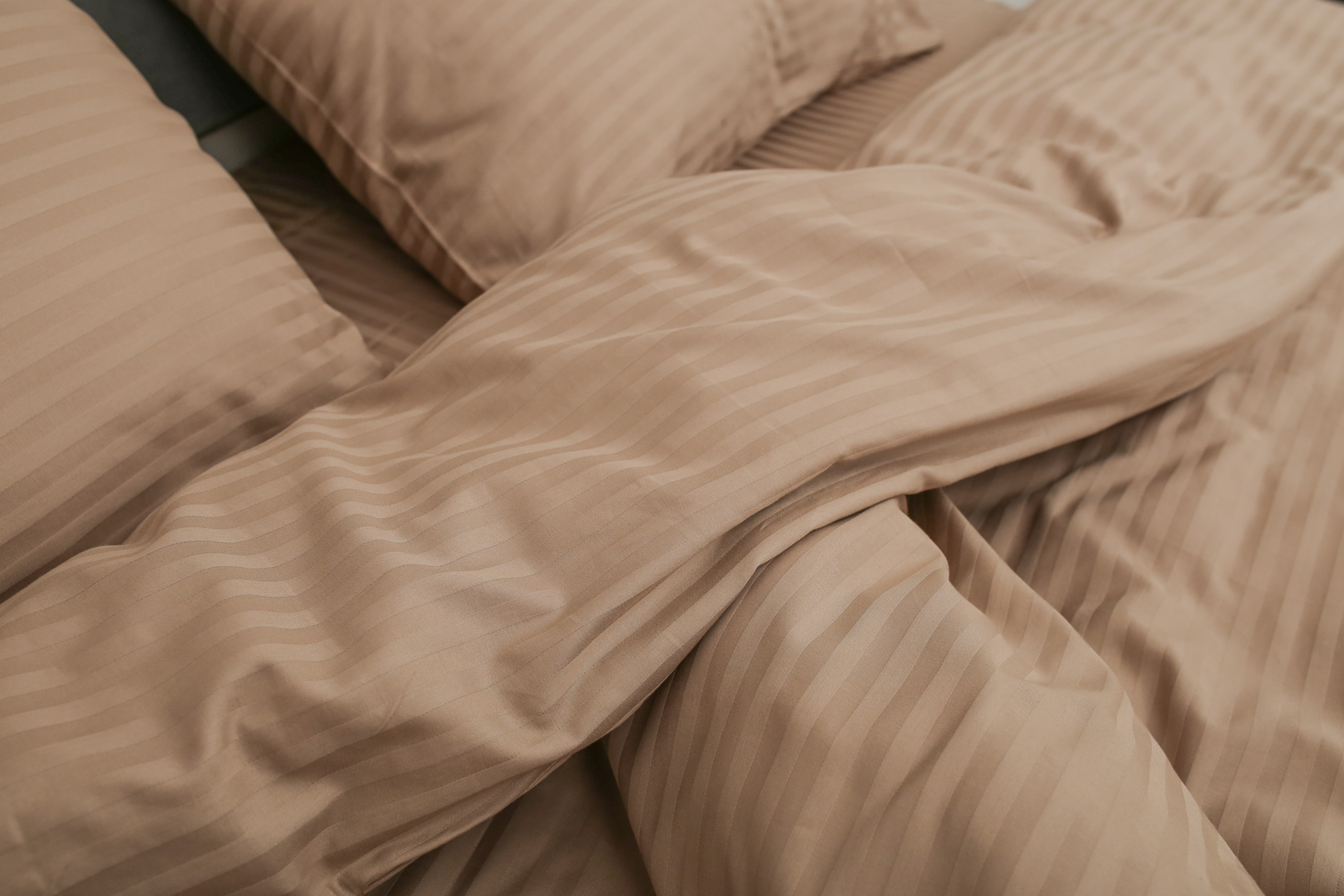 Комплект постельного белья евро Amore natural1310 страйп-сатин Песочный (KPB-Ae-STLux-natural1310 70x70_) - фото 3 Комплект постельного белья евро Amore natural1310 страйп-сатин Песочный (KPB-Ae-STLux-natural1310 70x70_) - фото 3