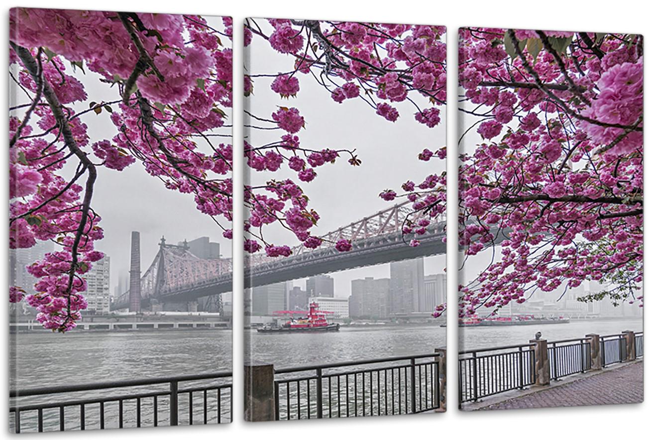 Картина модульная в гостиную/спальню Сакура 70х130 см (ART-253_3A)