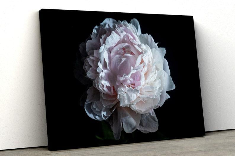 Картина на холсте KIL Art Роскошный цветок пион 51x34 см (335)