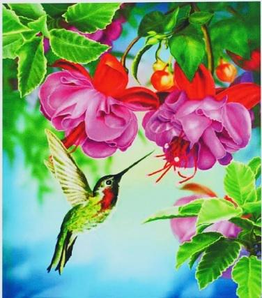 Алмазна мозаїка Колібрі на полотні з підрамником 30х40 см (GB77121)