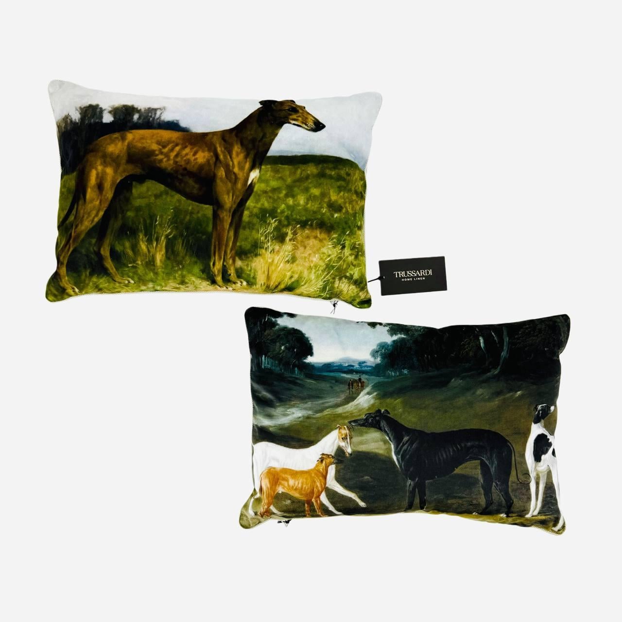 Набір подушок TRUSSARDI 94521 Paintings col. M56 sabbia 30х45 см 2 шт. (32540207) Набір подушок TRUSSARDI 94521 Paintings col. M56 sabbia 30х45 см 2 шт. (32540207)