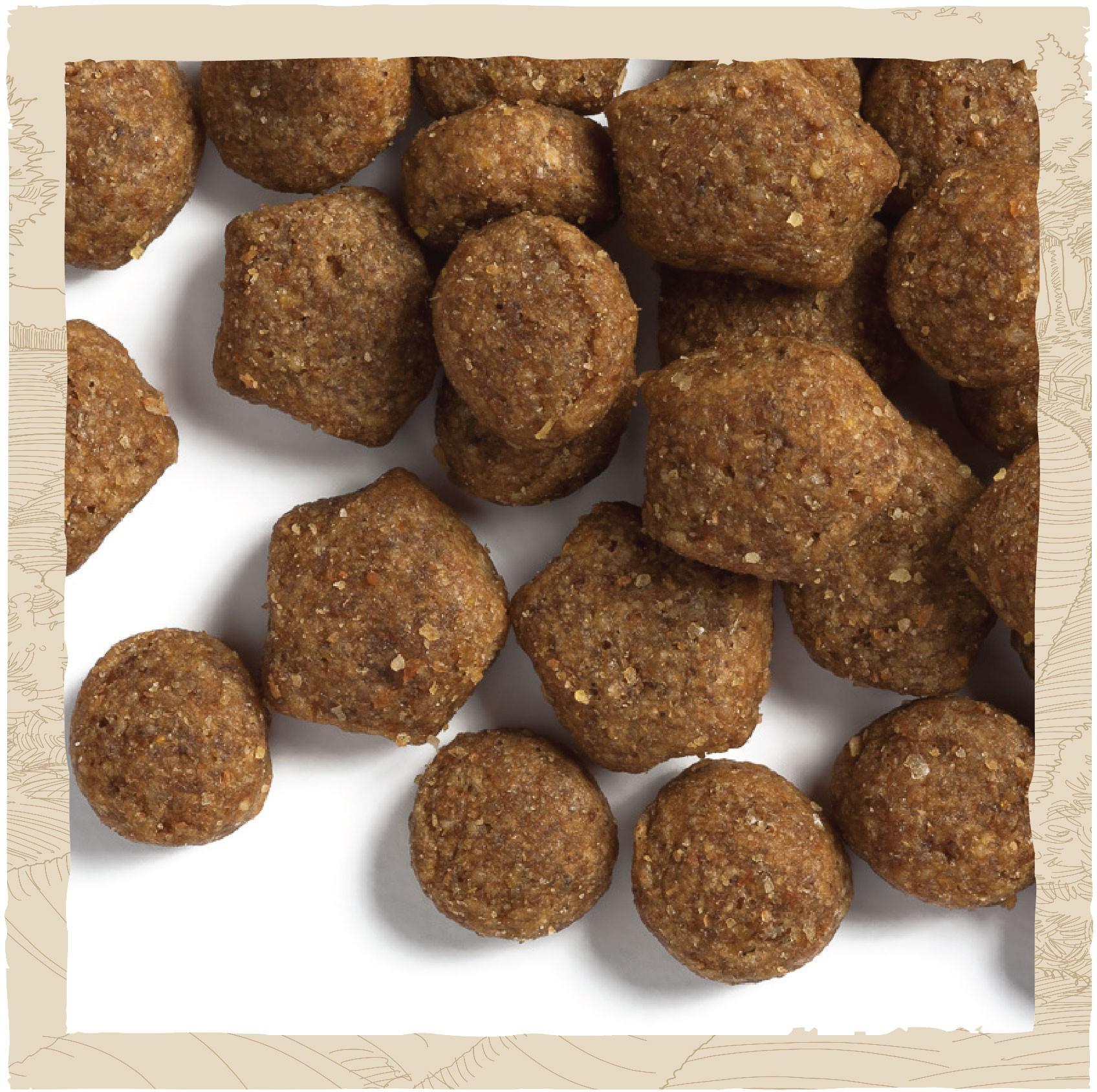 Сухой корм для щенков Purina Dog Chow Puppy с яненком 14 кг (7613034487872) - фото 6