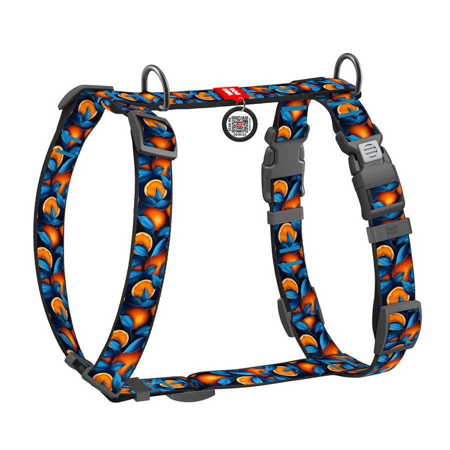 Шлейка для собак с QR-паспортом Waudog Nylon Апельсины анатомическая H-образная с пластиковым фастексом S 15 мм A 30-45 см/B 36-45 см Blue (343-4054) Шлейка для собак с QR-паспортом Waudog Nylon Апельсины анатомическая H-образная с пластиковым фастексом S 15 мм A 30-45 см/B 36-45 см Blue (343-4054)
