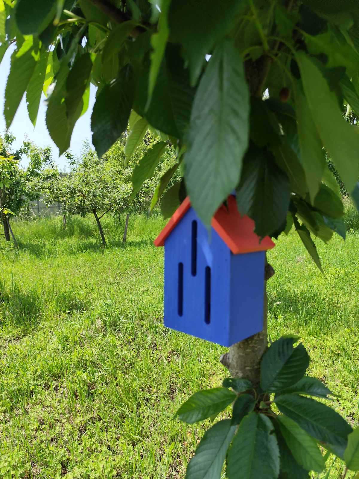 Домик для бабочек Цейлонская Роза Синий (0002227) - фото 7 Домик для бабочек Цейлонская Роза Синий (0002227) - фото 7